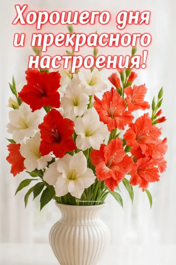 Открытка «Хорошего дня с красными и белыми гладиолусами»