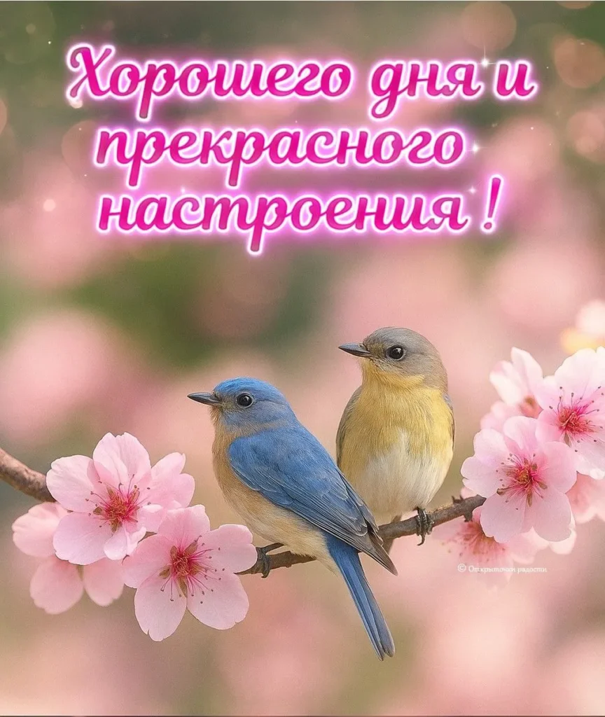 Открытка «Хорошего дня с птичками на цветущей ветке»