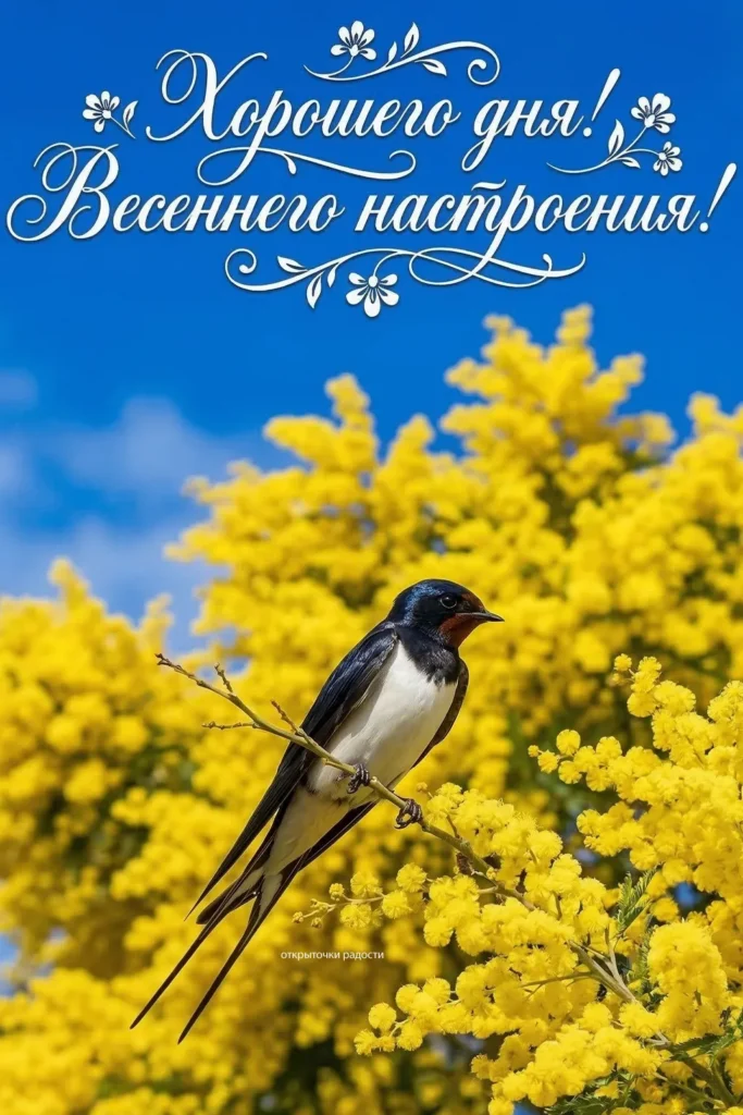 Открытка «Хорошего дня с ласточкой»